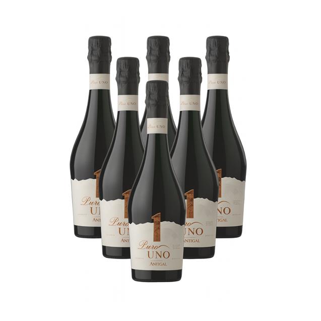 Caja Espumante Antigal Puro Uno Extra Brut X6 Unidades