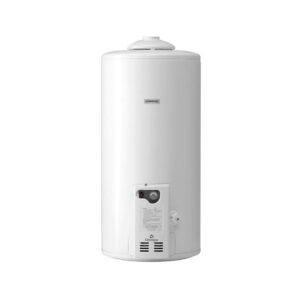 Termotanque Longvie 75 lts Colgar Conex. Inferior (T3075cf)